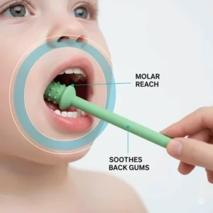 Illustration of a teething toy reaching the back molars of a 6-month-old baby for full-mouth relief.